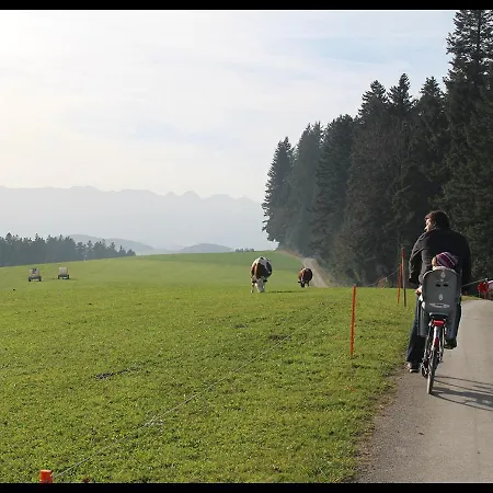 Modtrip Switzerland Bed and breakfast
